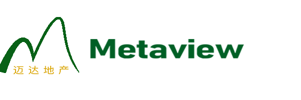 MetaView