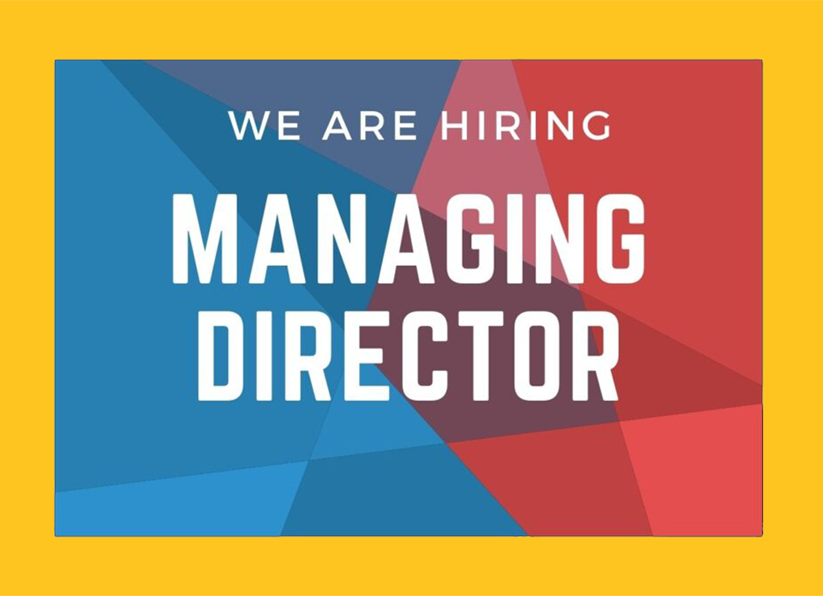 MANAGING DIRECTOR